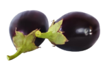 Begun (Round,Eggplant) - 1 KG - Image 2